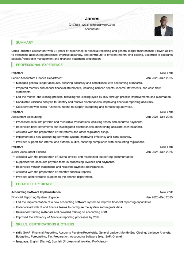 Accountant Resume Template